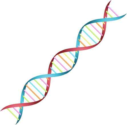 DNA case study